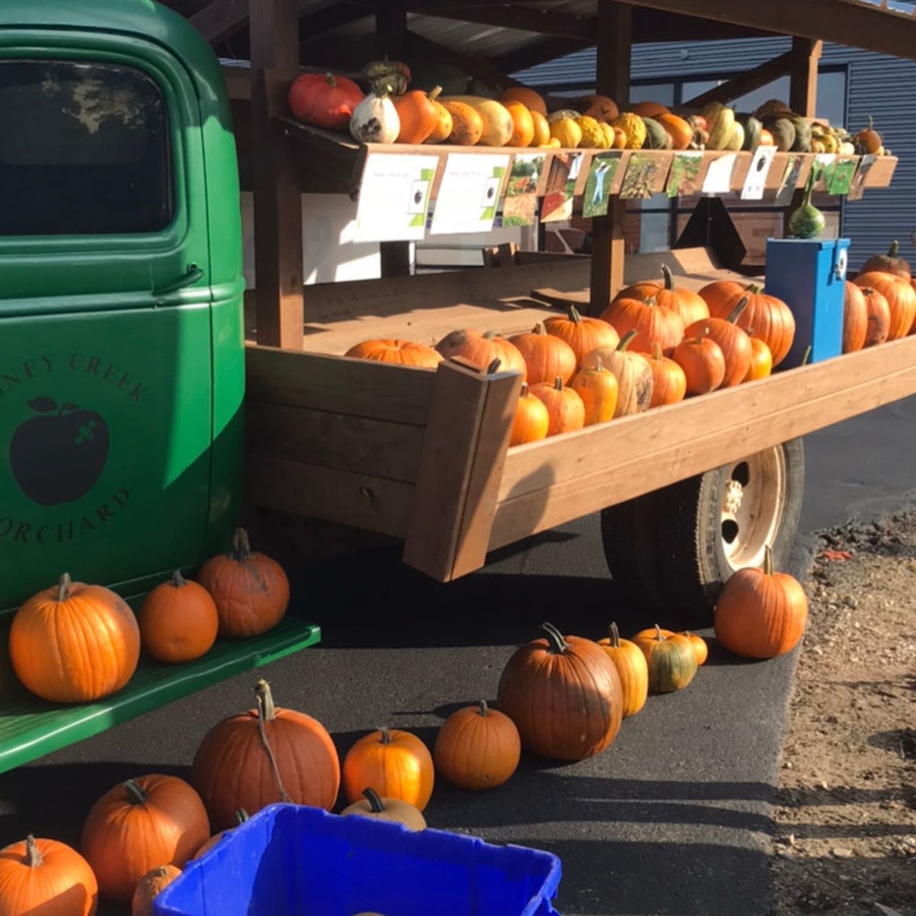 Pumpkins on truck